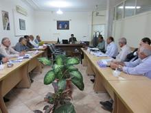 برگزاری چهارمین جلسه تخصصی کارگروه زیارتی استان گلستان
