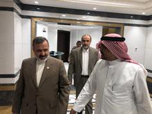 دیدار رئیس سازمان حج و زیارت با وزیر حج عربستان 