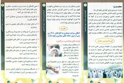 چاپ و توزيع بروشور ويروس كرونا در خوزستان